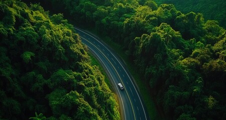 Fototapeta premium Aerial top view of a car driving on the road in a green forest, a nature landscape background . A bird's-eye view or drone shot from above, showing an asphalted, curved highway through a dense, tropic