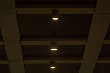 The ceiling has spaced lighting fixtures and concrete beams, creating a modern, functional architectural feel in the indoor space