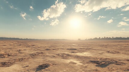 Fototapeta premium Barren Land Under Bright Midday Sun