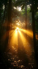Obraz premium Sunbeams pierce through dense forest canopy at sunrise, illuminating the forest floor.