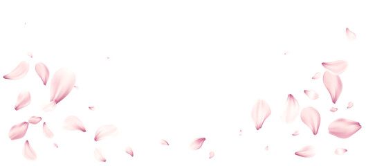 Delicate Pink Cherry Blossom Flowers Petals Floating Gracefully on the White Background. Soft pink petals scattered elegantly on a white background. Vector illustration