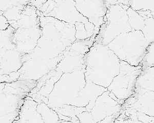 Obraz premium White marble texture with gray veins.
