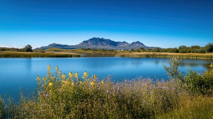 Obraz premium Beautiful landscape with mountain, lake and blue sky in Iceland with Stokksnes black mountains in background. summer season, vibrant colors, idyllic rural scenery, Stowarkos volcano in the backround, 
