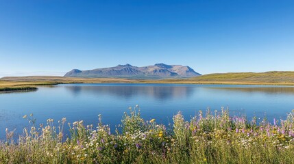 Obraz premium Beautiful landscape with mountain, lake and blue sky in Iceland with Stokksnes black mountains in background. summer season, vibrant colors, idyllic rural scenery, Stowarkos volcano in the backround, 