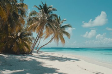 Fototapeta premium Beautiful tropical beach with palm trees and clear blue water in the Maldives, National Geographic quality, with very sharp focus, highly detailed, and extremely high resolution. 20-megapixel shot 