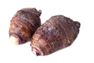 Fresh organic taro roots isolated on white background. Concept, edible plant root that can be cooked for many delicious menu of food and dessert. Agricultural crops.    