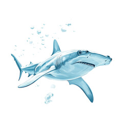 Fototapeta premium Shark Illustration on Transparent Background