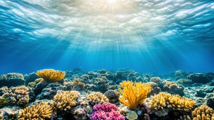 Fototapeta premium Serene Deep Sea Landscape with Soft Ambient Light