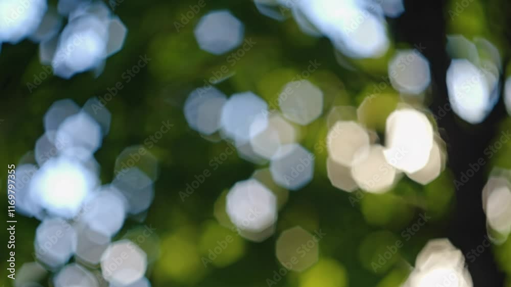 Poster blurred bokeh lights through green foliage, nature background. abstract and calm concept