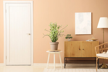 Chest of drawers, door, floor lamp, houseplant and picture on brown wall in room