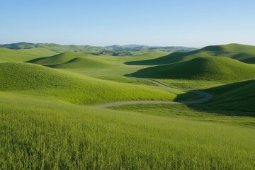 Obraz premium The undulating grassland, the green wheat fields, and the blue sky form an endless landscape under the sunlight. The road meanders through the field, creating a winding path leading towards
