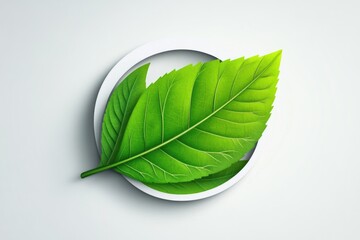 Obraz premium A modern, eco-friendly logo design featuring a green leaf with clean lines and a minimalistic circle shape.
