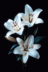 Fototapeta premium Blooming yellow lilies in a simple vase.