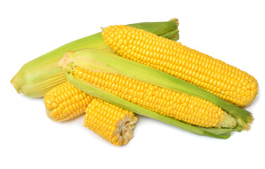 Fresh corn cob isolated on white background