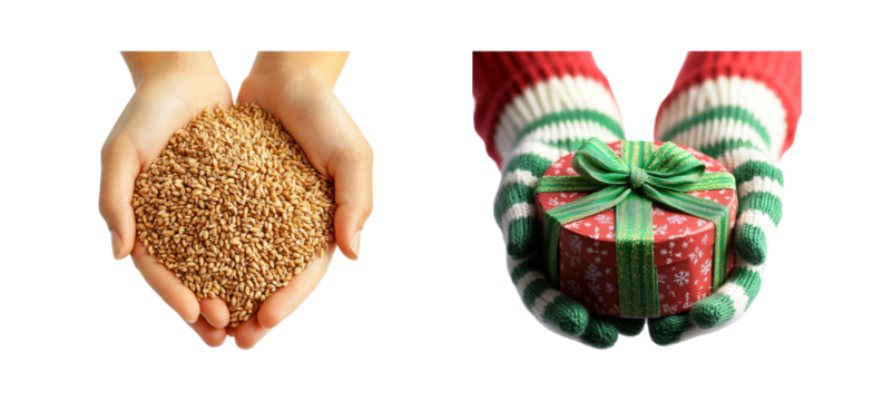Hands Holding Seeds and Holiday Gift Box on Transparent Background