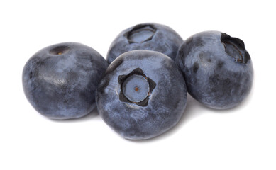 Blueberry macro isolated on white background