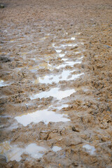Mud Puddles on Dry Terrain with Beautiful Reflections Across the Surface