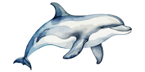 Hand drawn watercolor painting of a dolphin isolated on white background. Sea animals collection vector illustration