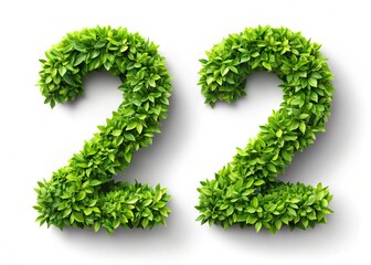 Number 22 Leaf Design,  Isolated  Background, Food Photography, Festive Decoration