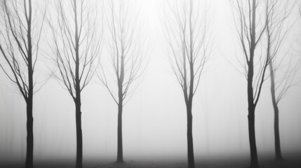 Fototapeta premium Enigmatic Leafless Trees in Misty Forest Landscape Creating an Eerie and Mysterious Atmosphere Perfect for Halloween and Moody Themes in Monochrome Black and White Photography Art