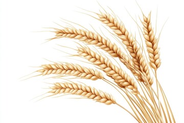 Fototapeta premium Bunch of wheat is shown in a close up. The wheat is golden and has a rustic appearance. Concept of warmth and comfort, as the wheat is a staple food in many cultures