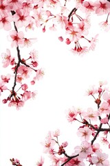 Fototapeta premium Spring blossoms, pink flower arrangement. Seasonal cherry blossoms background for wallpapers, fashion or nature design.