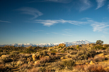Warm Morning Light Hits The Desert With Snow Covered Mountains In The Distance