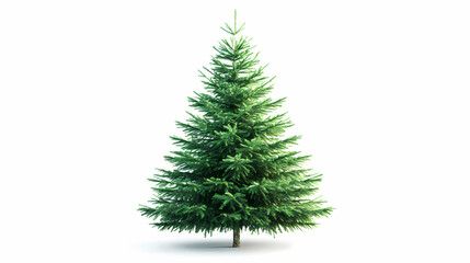 Fototapeta premium Christmas tree isolated on white. Evergreen. Illustration