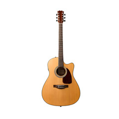 Naklejka premium Full Shot of an Acoustic Guitar with Transparent Background