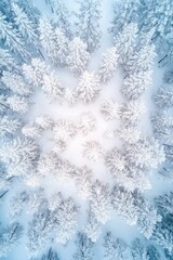 Aerial view of winter forest covered by heavy snow.
