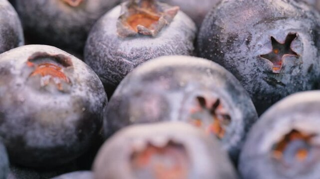 Extreme close up, macro view. Heap of fresh blueberries in close detail. Slider shot. Depth of field, selective focus.Natural deep blue color, plump texture. Nature, fruit, diet, organic food concepts