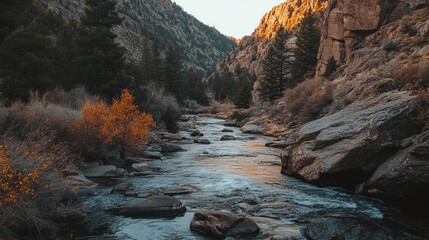 A serene river flows through a rocky canyon, surrounded by trees and autumn foliage.