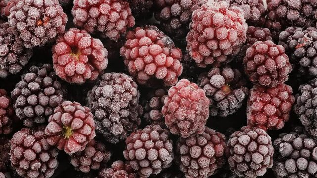 Top down view. Heap of frozen black and red raspberries covered with frost. Texture of frosty coating and vibrant berry tones. Frozen food, fruit, diet, organic food, dessert ingredients concepts. 4k