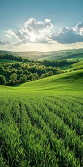 Fototapeta premium Sunlit green hills and fields bathed in sunlight on a partly cloudy day.