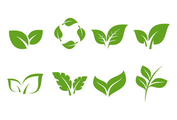 green leaf icons set vector template