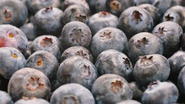 Heap of fresh blueberries in close detail. Natural deep blue color and plump texture. Nature, fruit, diet, organic food, wellness themes. 4k