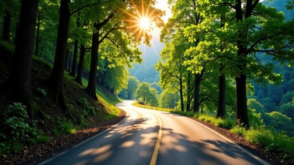 Obraz premium Serene Winding Road Through Lush Green Forest Canopy at Sunrise