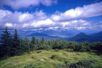 Obraz premium Mountain range is visible in the distance with a cloudy sky above. The scene is peaceful and serene, with a lush green field and trees in the foreground. The clouds add a sense of depth