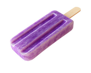 Delicious purple fruit popsicle treat.