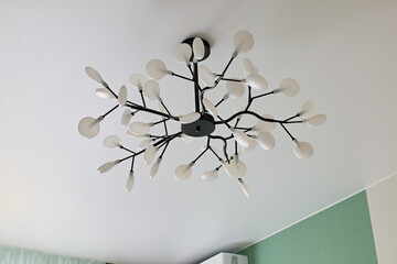 Modern Chandelier Featuring a Unique and Innovative Branch Design for Your Home Decor