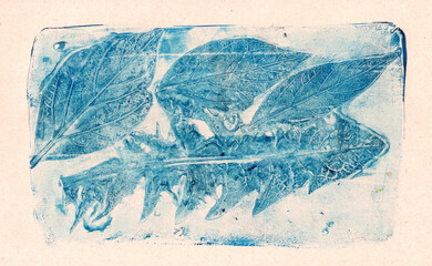 imprints of real leaves on paper, creative abstract grunge background