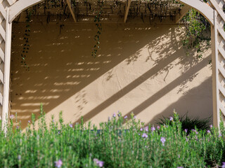 差し込む日差しとベンチのある小さな家