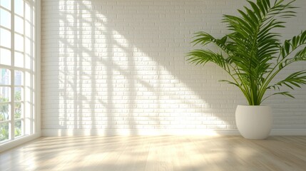 Bright Room Interior Design White Brick Wall Plant Sunlight