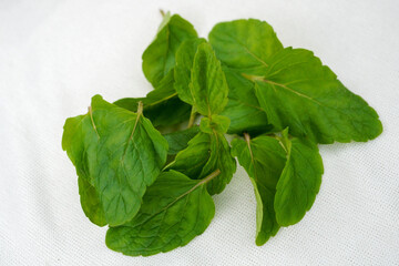 fresh green mint leaves isolated on white background, top view