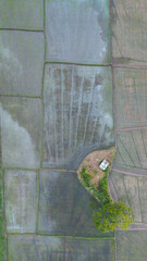 Paddy Field Kumbura Ketha Land On Stock Photo. Premium Photo. Land plot in aerial view Include landscape real estate green field crop agricultural.