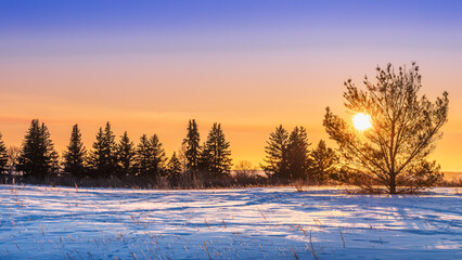 Winter sunset in Saskatchewan