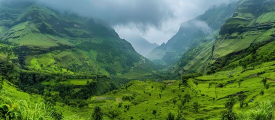 Obraz premium Misty Mountain Valley Landscape