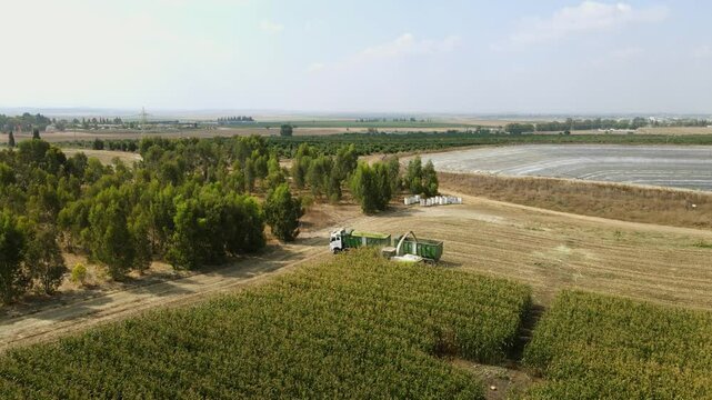 Corn Harvest
A drone shot of a combine harvester harvesting corn and pouring it into a truck driving alongside it.
In the background are agricultural fields, a water reservoir for irrigation.