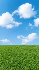 Obraz premium Serene green field under bright blue sky with white clouds
