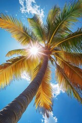 A view of tropical beach, sunlight filtering through palm leaves. A sense of relaxation and vacation vibe.